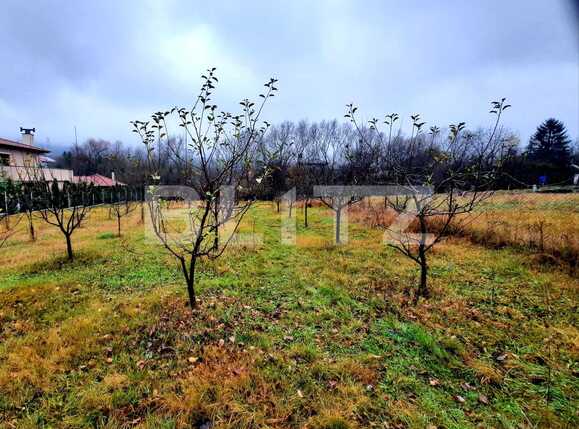 Teren de vânzare Becaş - 59802TV | BLITZ Cluj-Napoca | Poza3