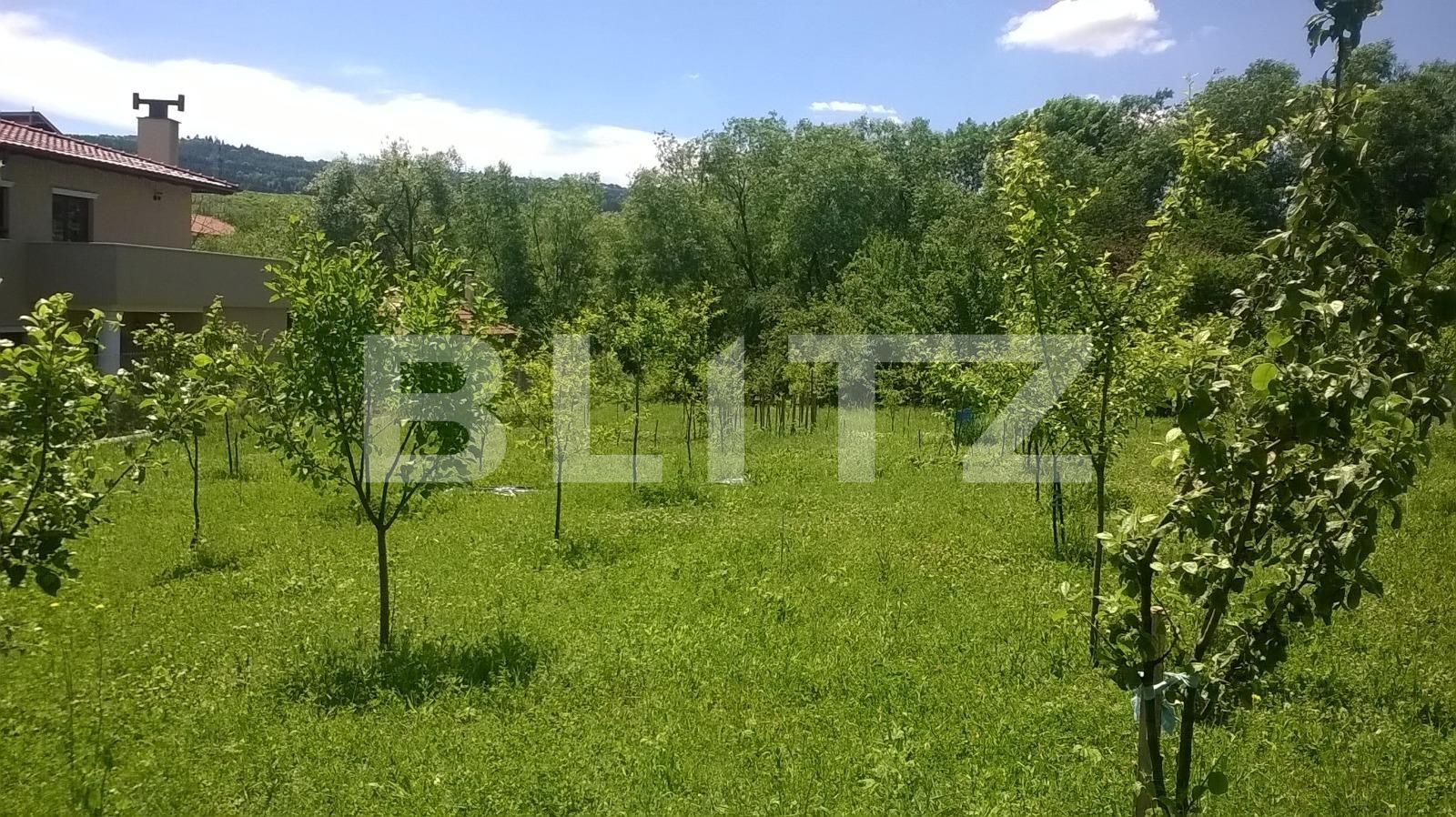 Teren de vânzare Becaş - 59802TV | BLITZ Cluj-Napoca | Poza2