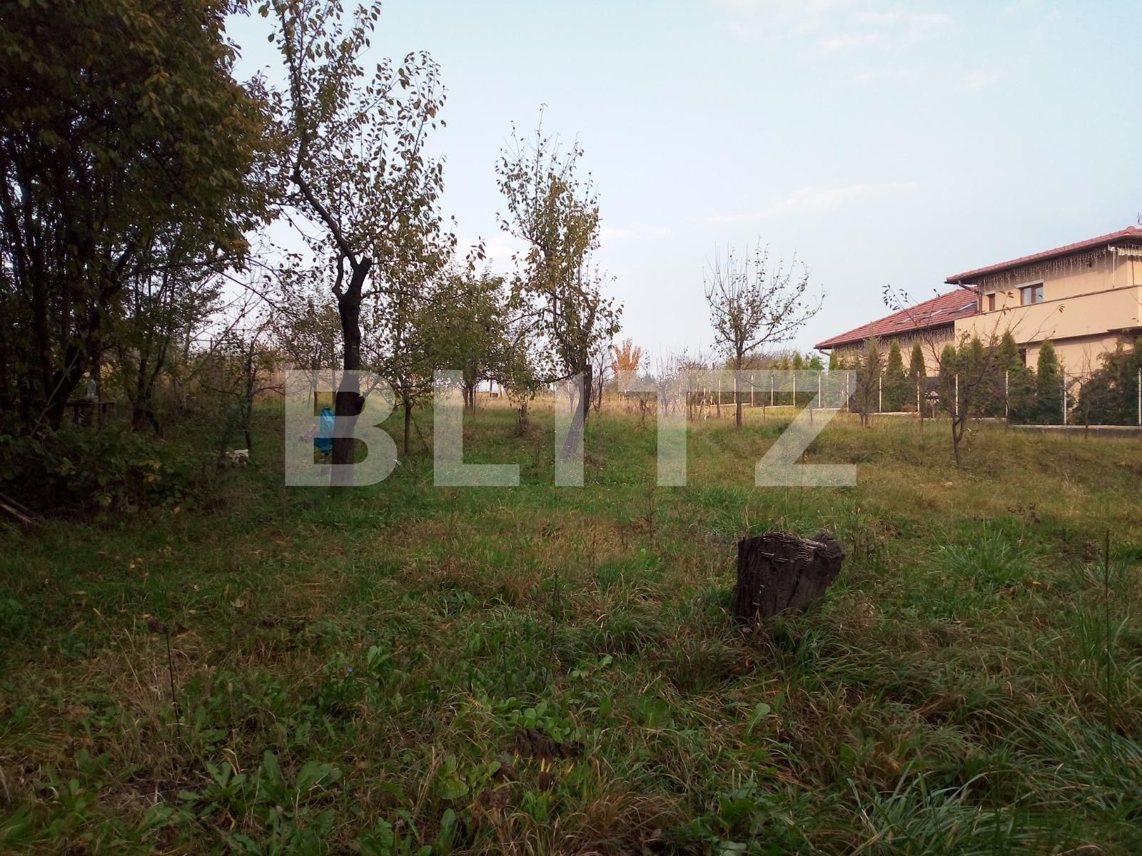 Teren de vânzare Becaş - 59802TV | BLITZ Cluj-Napoca | Poza5