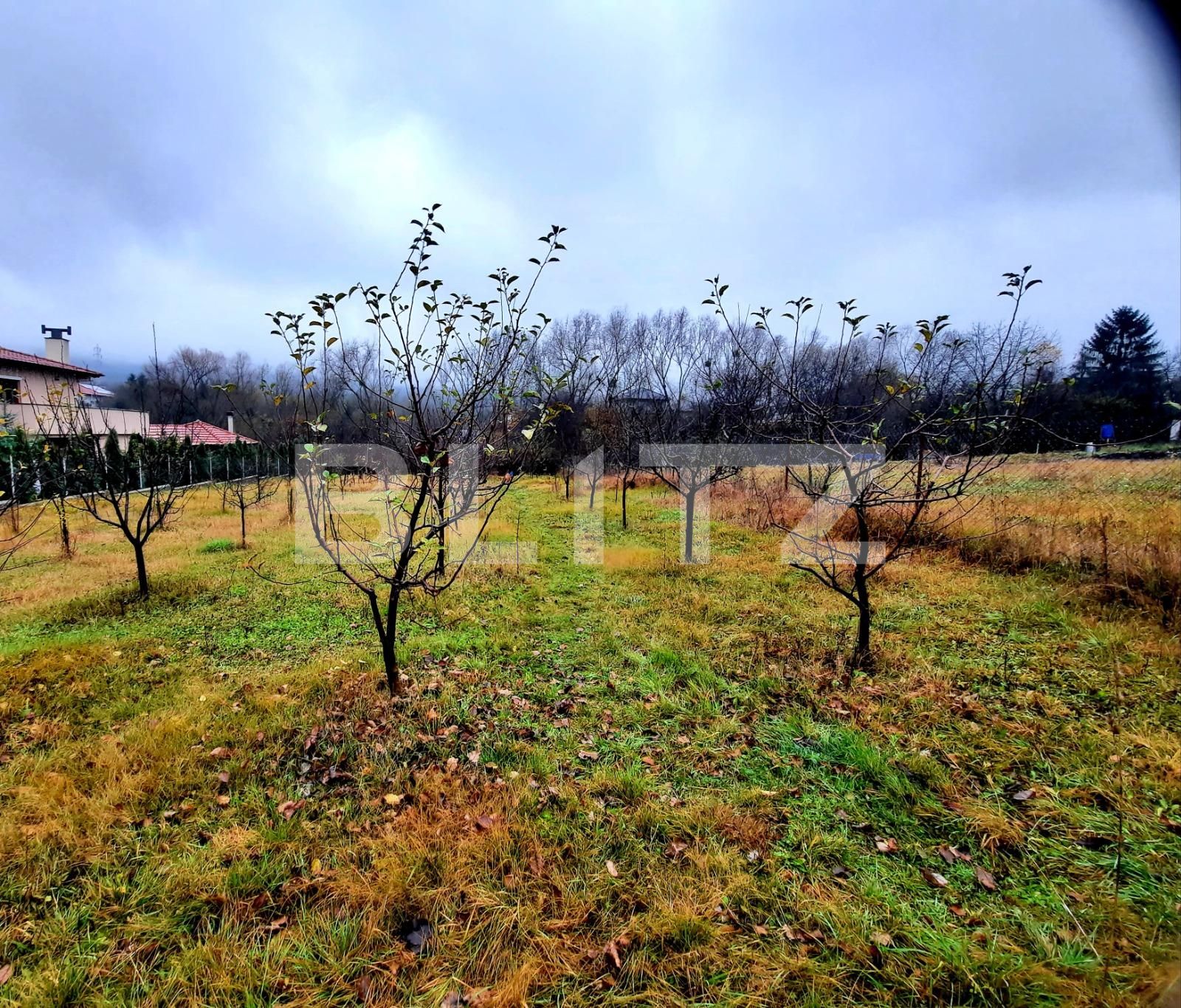 Teren de vânzare Becaş - 59802TV | BLITZ Cluj-Napoca | Poza3