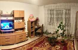 Casa 2 camere, 60mp utili, teren 350mp cota/parte, vecini in curte, zona Stadionul Tineretului, Bartolomeu