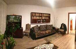 Casa 2 camere, 60mp utili, teren 350mp cota/parte, vecini in curte, zona Stadionul Tineretului, Bartolomeu