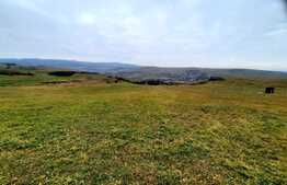 Teren intravilan 4300mp, cu panorama deosebita, Sopor