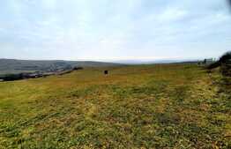 Teren intravilan 4300mp, cu panorama deosebita, Sopor