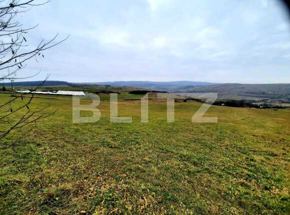 Teren de vânzare Sopor - 59810TV | BLITZ Cluj-Napoca | Poza4