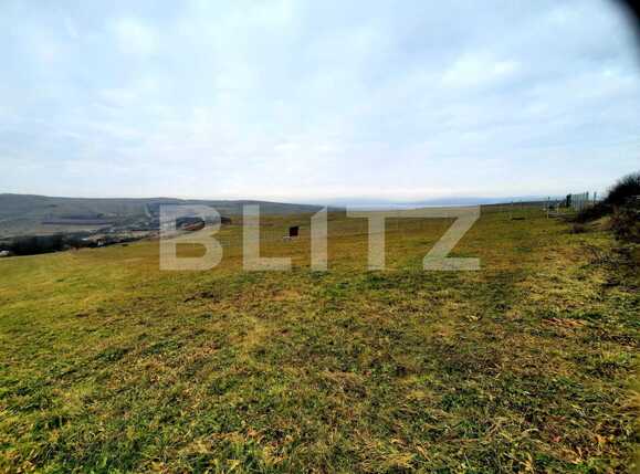 Teren de vânzare Sopor - 59810TV | BLITZ Cluj-Napoca | Poza3