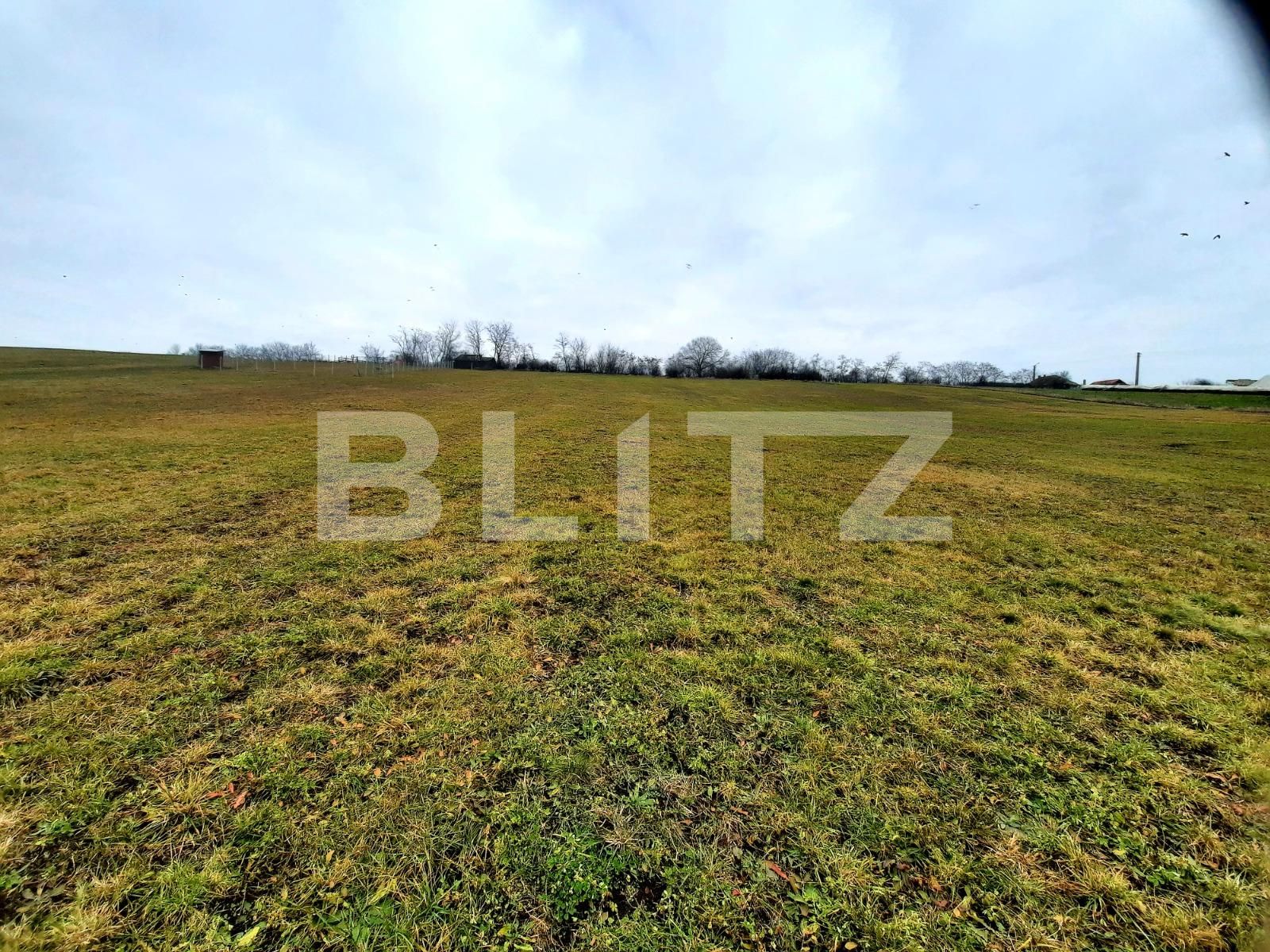 Teren de vânzare Sopor - 59810TV | BLITZ Cluj-Napoca | Poza5