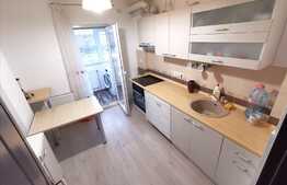 Apartament 2 camere Zizinului