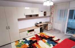 Apartament 2 camere Zizinului