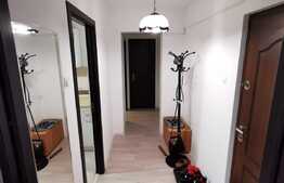 Apartament 2 camere Zizinului