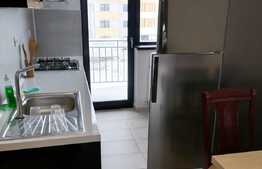 Apartament luxos, 2 camere, 55 mp, Tractorul!