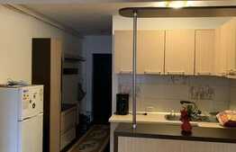 Apartament de inchiriat cu doua camere, 54 mp, loc de parcare, zona strazii Mircea Eliade