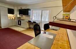 Apartament 3 camere, 63 mp, prima inchiriere, pet friendly, loc de parcare, zona strazii Edgar Quinet 