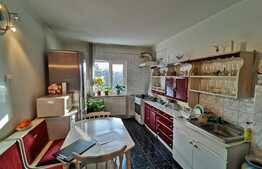 Apartament 3 camere, decomandat, zona Gradinii Botanice!