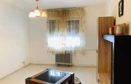 Garsoniera zona Uzina 2