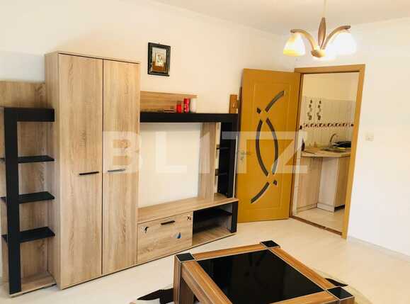 Garsonieră de vânzare Uzina 2 - 59884AV | BLITZ Brașov | Poza3