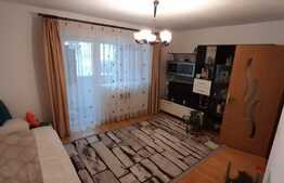 Apartament decomandat, etaj intermediar, parcare, zona Muzeul Apei!