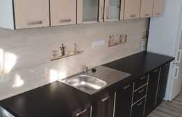 Apartament 3 camere, mobilat, 2 bai, zona Terra!