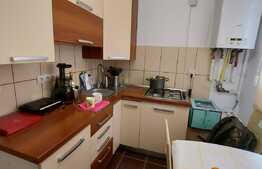 Apartament 1 camera, 33 mp, zona cartierului Terra!