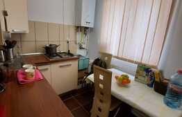 Apartament 1 camera, 33 mp, zona cartierului Terra!