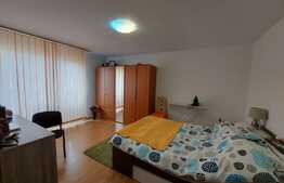 Apartament 1 camera, 33 mp, zona cartierului Terra!