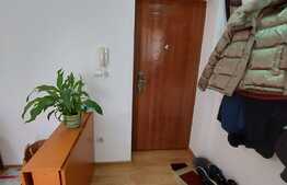 Apartament 1 camera, 33 mp, zona cartierului Terra!