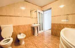 Casa individuala, 180 mp utili, 600 mp curte, parcare, zona Traian Vuia