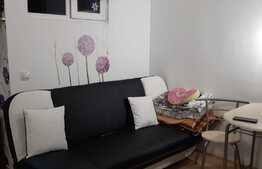 Apartament cu o camera, 24 mp, zona Porii