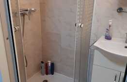 Apartament cu o camera, 24 mp, zona Porii