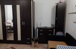 Apartament cu o camera, 24 mp, zona Porii