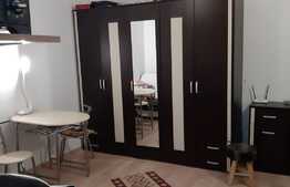 Apartament cu o camera, 24 mp, zona Porii