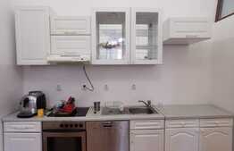 Apartament cu 2 camere, 60 de mp, pet friendly, nemobilat, cu acces la curte exterioara, zona Parcului Central