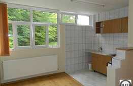 Garsoniera 28 mp utili, partial mobilata, zona strazii Parang