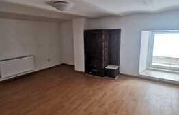 3 camere decomandat, nemobilat, 85 de mp, pet friendly, terasa 30 de mp, zona Parcului Central