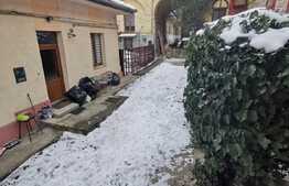 3 camere decomandat, nemobilat, 85 de mp, pet friendly, terasa 30 de mp, zona Parcului Central