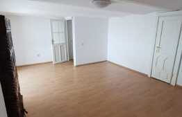 3 camere decomandat, nemobilat, 85 de mp, pet friendly, terasa 30 de mp, zona Parcului Central