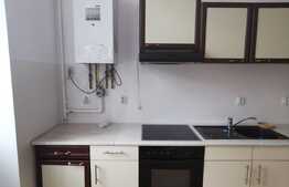 3 camere decomandat, nemobilat, 85 de mp, pet friendly, terasa 30 de mp, zona Parcului Central