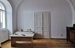 3 camere decomandat, nemobilat, 85 de mp, pet friendly, terasa 30 de mp, zona Parcului Central