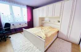 Casa individuala, 100 mp, 250 mp, 3 parcari, foisor, zona strazii Traian Vuia