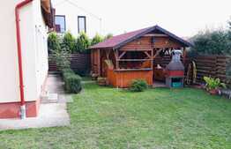 Casa individuala, 100 mp, 250 mp, 3 parcari, foisor, zona strazii Traian Vuia