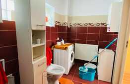 Casa individuala, 100 mp, 250 mp, 3 parcari, foisor, zona strazii Traian Vuia