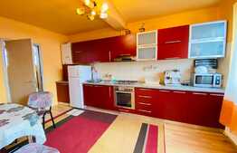 Casa individuala, 100 mp, 250 mp, 3 parcari, foisor, zona strazii Traian Vuia