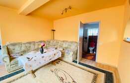 Casa individuala, 100 mp, 250 mp, 3 parcari, foisor, zona strazii Traian Vuia