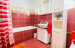 Casa individuala, 100 mp, 250 mp, 3 parcari, foisor, zona strazii Traian Vuia