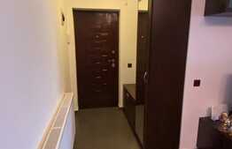 Apartament 3 camere, 2 bai, etaj intermediar, complet mobilat si utilat, zona Somesului!