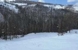 Teren extravilan, 4217 mp, Somesu Rece