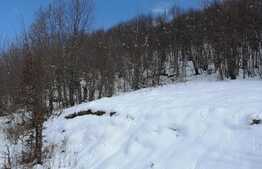 Teren extravilan, 4217 mp, Somesu Rece