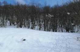 Teren extravilan, 4217 mp, Somesu Rece