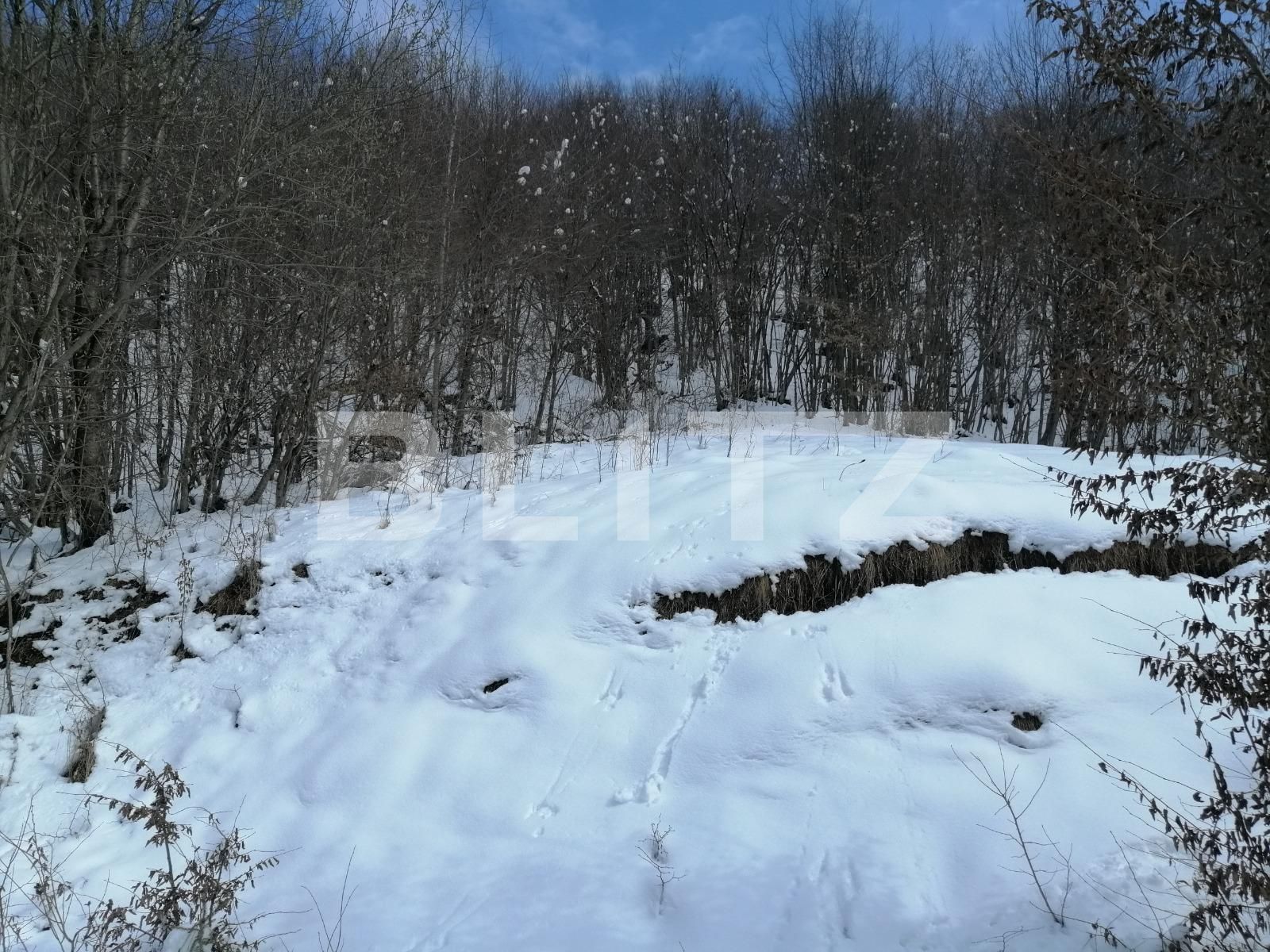Teren de vânzare Exterior Vest - 60010TV | BLITZ Cluj-Napoca | Poza6