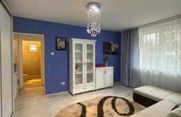 2 camere, 46mp, balcon, mobilat modern, pet friendly, zona Iulius Mall